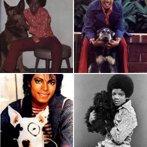 MJ with animals