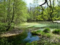 P1210399 (800x600).jpg P1210399 (800x600).jpg