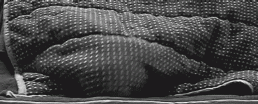 tumblr_m8m7dogMZ21ql17mc.gif