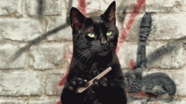 tumblr_n3r97nf5Kr1tq4of6o1_500.gif