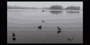 ice-slide.gif