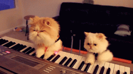 jammers.gif