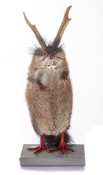 wolpertinger-6958html_5.jpg