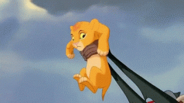 giphy (2).gif