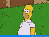 1747510871945.gif